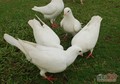 QQ��ͼ20120414214400