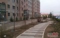QQ��ͼ20120315101744 
