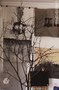 IMG_8540.jpg
