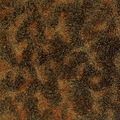 ��������ϵ��-B5J03