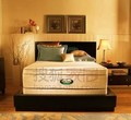 NG400PLUSH