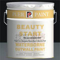 ��������Ħ����Benjamin Moore����ǽͿ��ϵ��