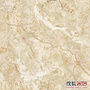 ʯ�ƴ�Ƭ4R206DR