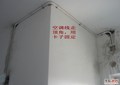 DSC04775.jpg