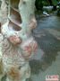 20120510(006).jpg