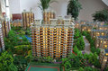 ��Ρ����⺣��