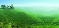 [���ɰ���]�����������³��ٴ�