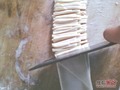 ��Ƭ-0030