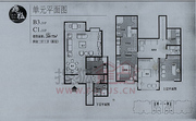 261ƽ��������������������