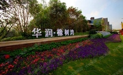 华润橡树湾交2万认筹金优惠2%预计2月开盘 华润橡树湾交2万认筹金优惠2%预计2月开盘
