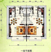 ����50��¥һ�� G����