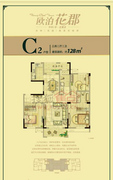 C2