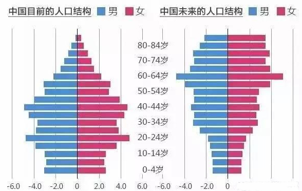 中国60岁以上人口_14.1亿 全国人口普查结果出炉,男女比例