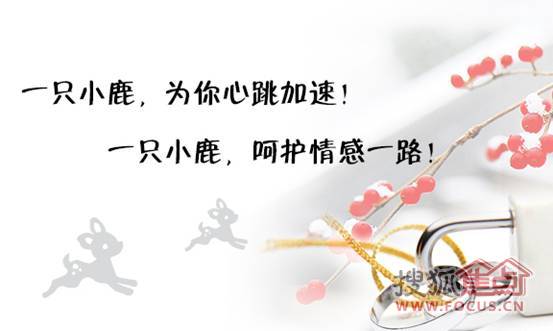 a_103092507.jpg