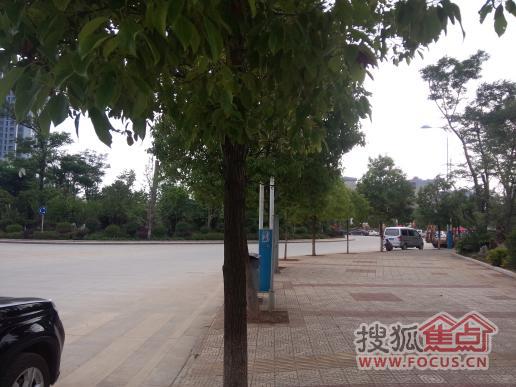 马龙县有多少人口_马龙县委书记付霞