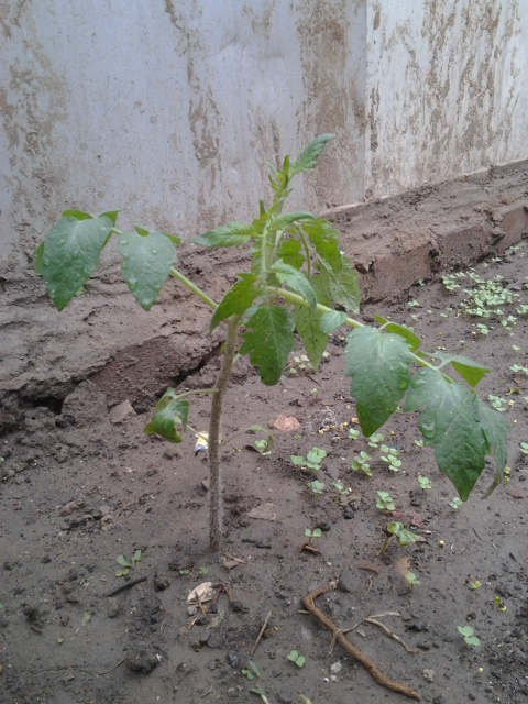 a_110215501.jpg