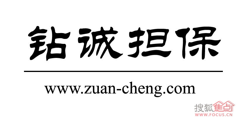 个人收入证明_个人收入及财产证明(2)