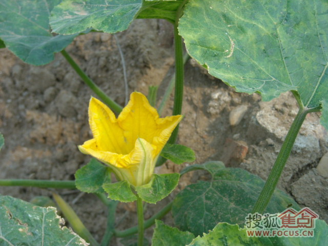 b_119444660.jpg