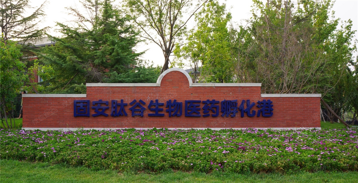 固安人口有多少_固安大湖公园(2)