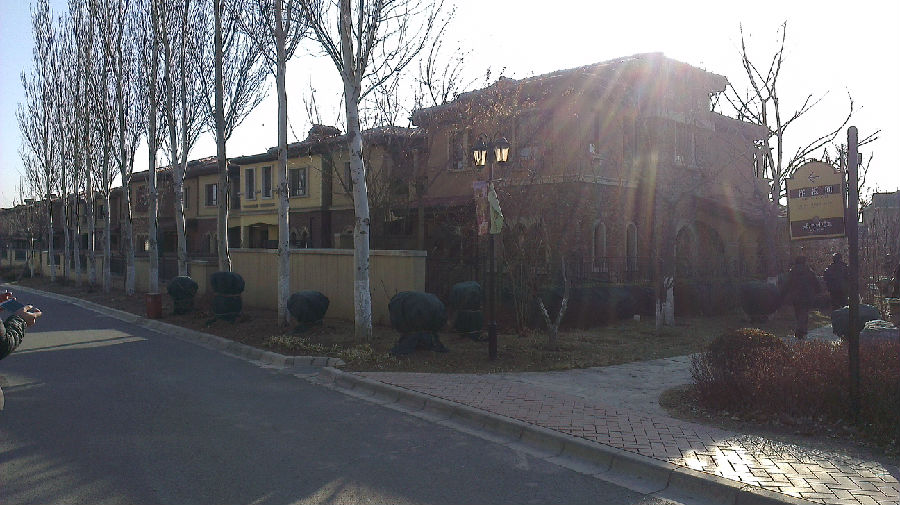 a_214965255.jpg