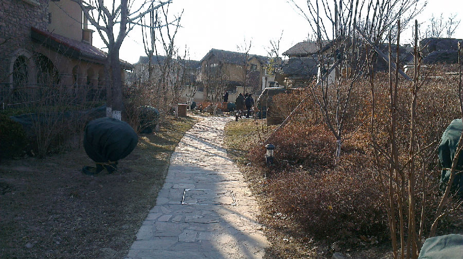 a_214965265.jpg