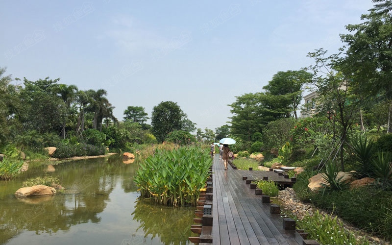 绿岛湖壹号