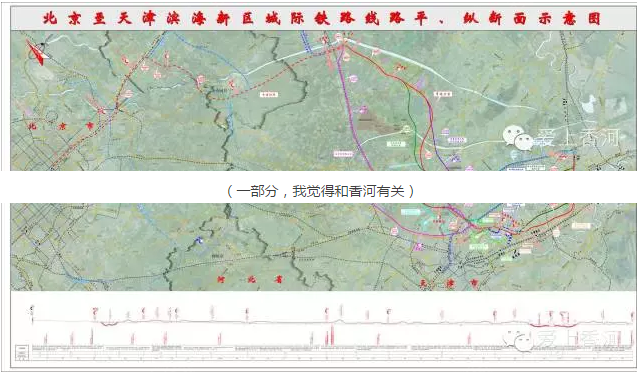 2019年滨海新区人口_滨海新区人口热力图(3)