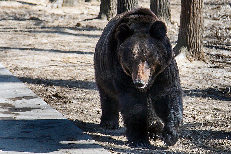 a_377601079.jpg