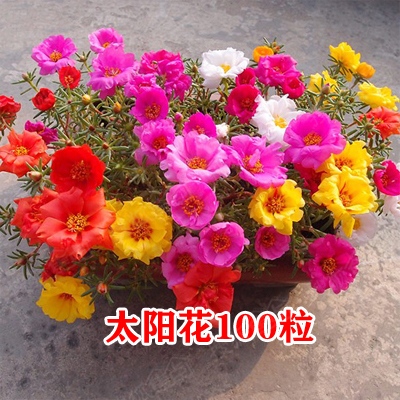 b_388836528.jpg