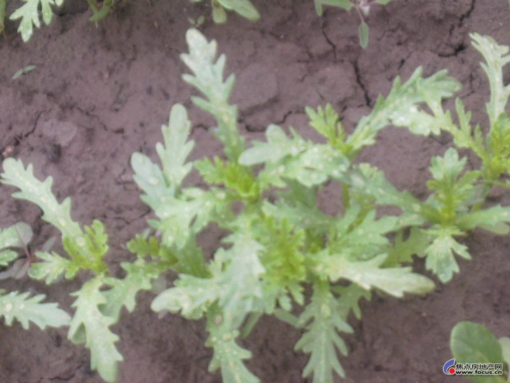 b_50301326.jpg