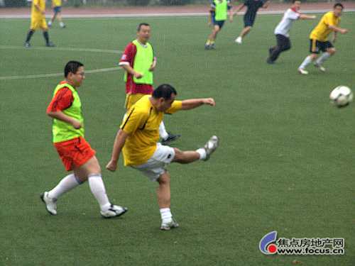 a_50650621.jpg