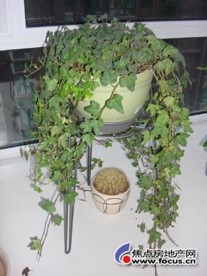 a_50775119.jpg