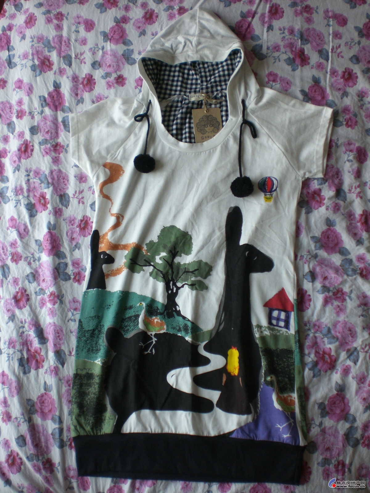 a_51067657.jpg