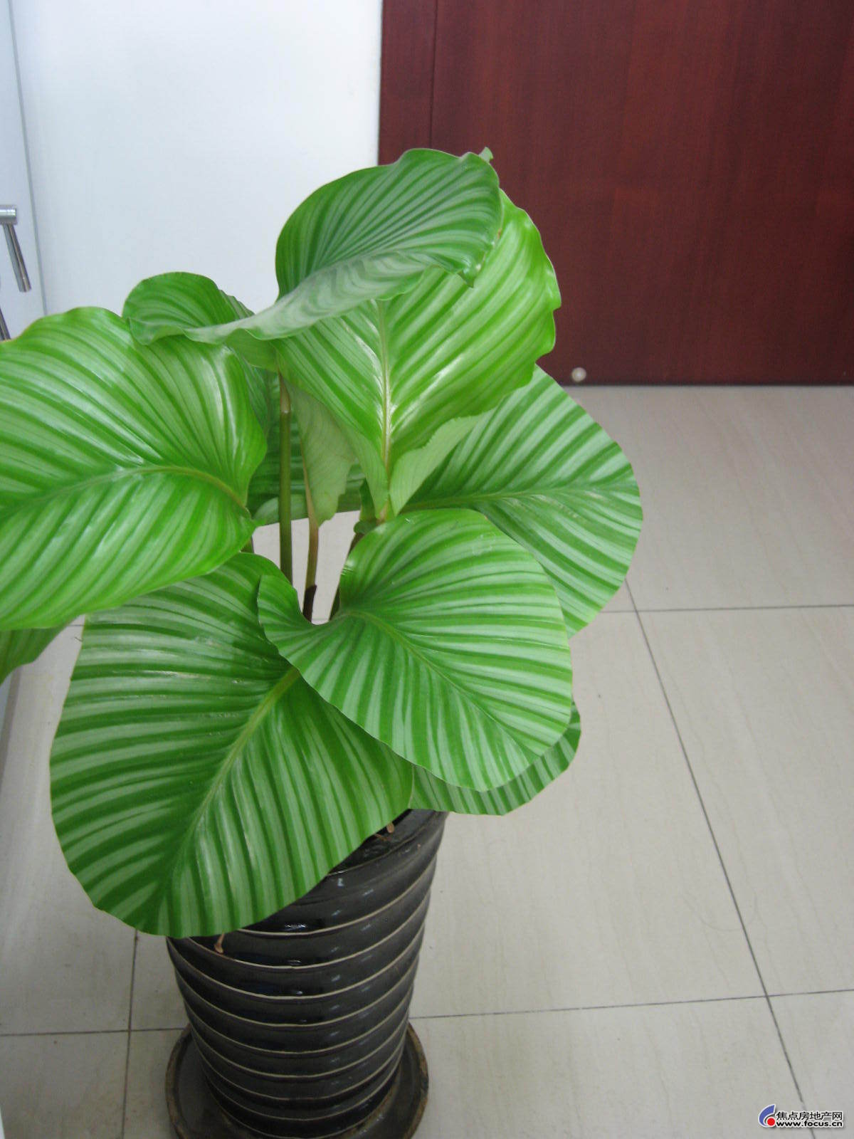 b_51445296.jpg