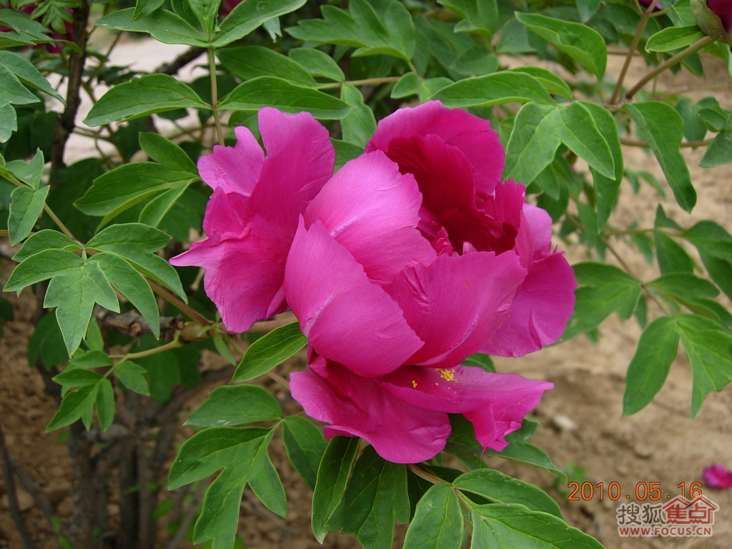 a_57493791.jpg