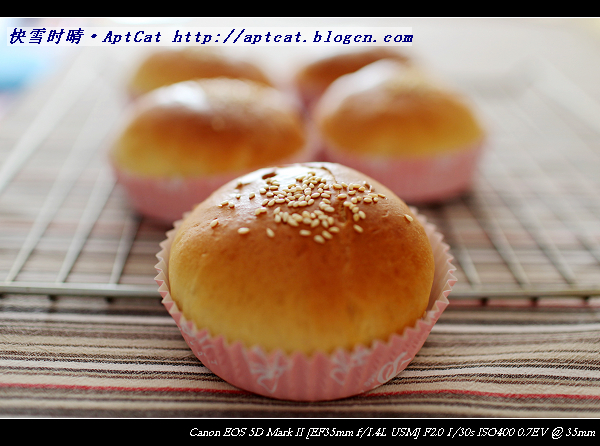 b_62652300.jpg