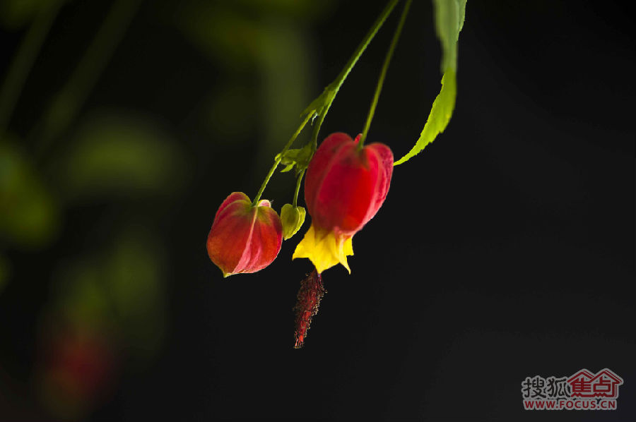 b_71601320.jpg