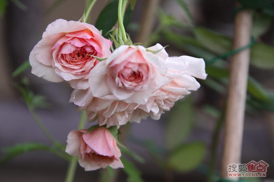 a_72901109.jpg