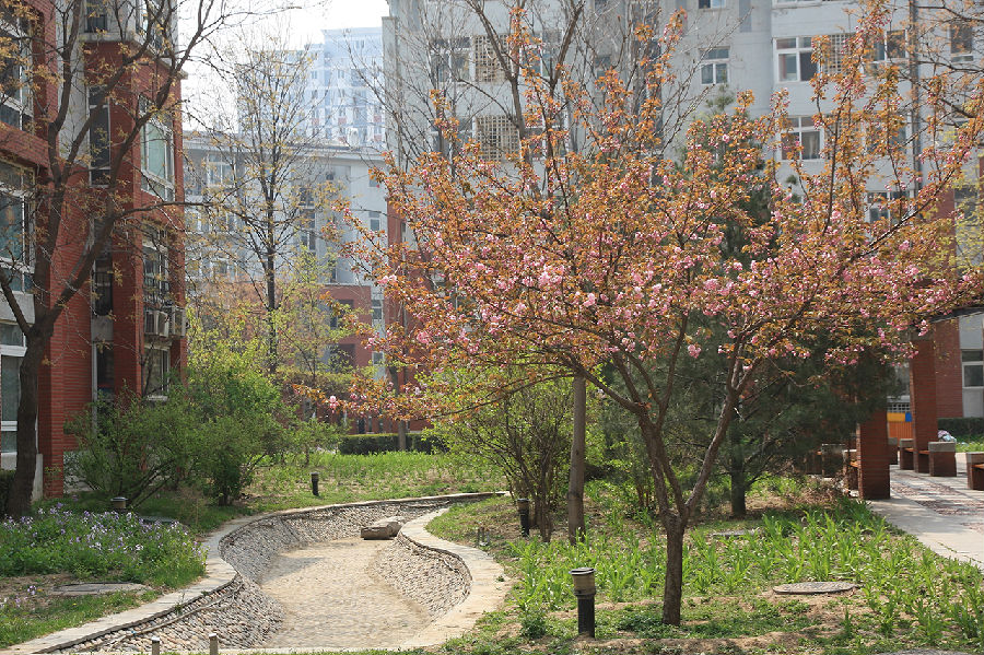 北京业主论坛 当代城市家园业主论坛 ></p></a> 小区内桃红柳绿,很漂亮