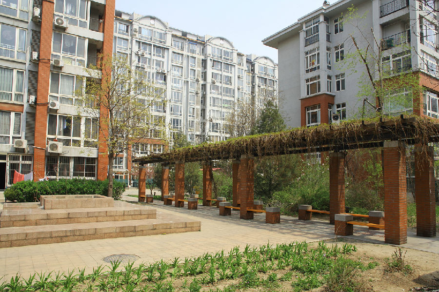 小区内桃红柳绿,很漂亮~-当代城市家园业主论坛-北京搜狐焦点;; 当代