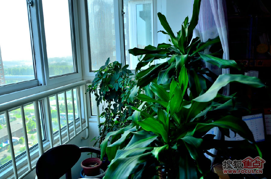 a_75931313.jpg
