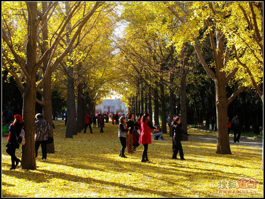 a_78109967.jpg
