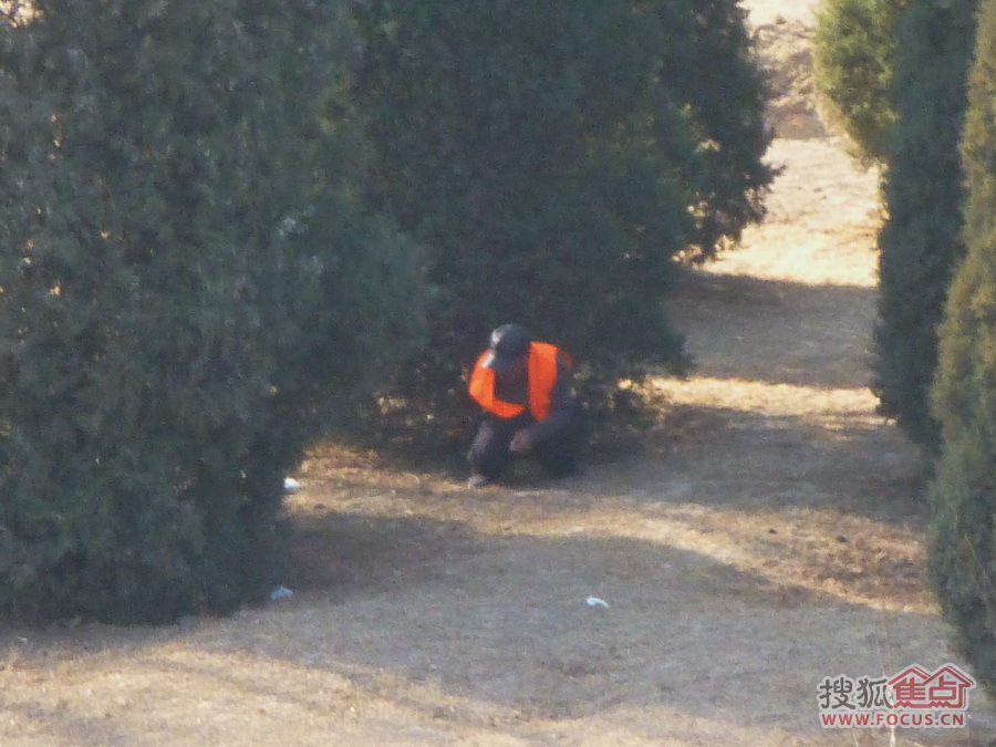 观湖小区西侧绿化带常有园林工人随地大小便!很不文明