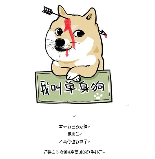 光棍节单身说说