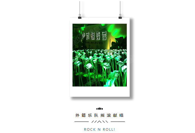 城东墅级洋房,龙泉舒居洋房,皇冠湖壹号活动高清图片