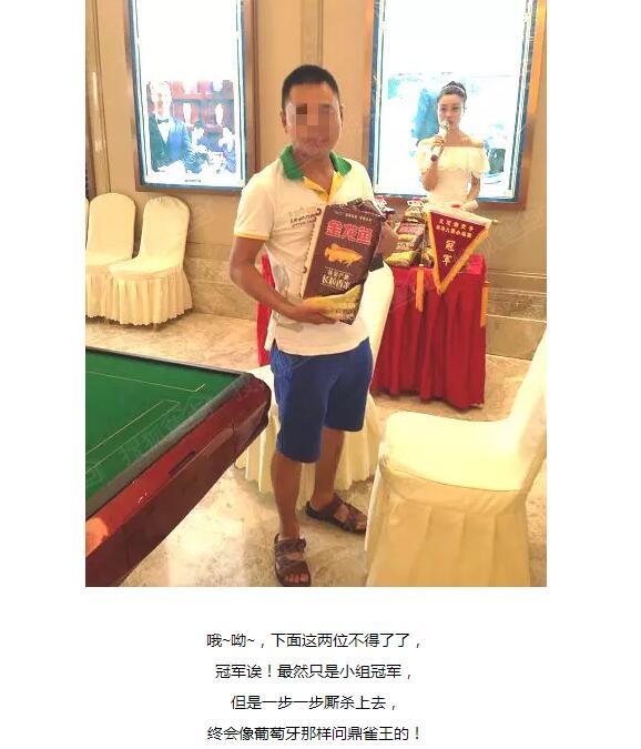 成都雀王大赛,龙泉雀王冠军赛,皇冠湖特惠房源,城东特惠住宅高清图片