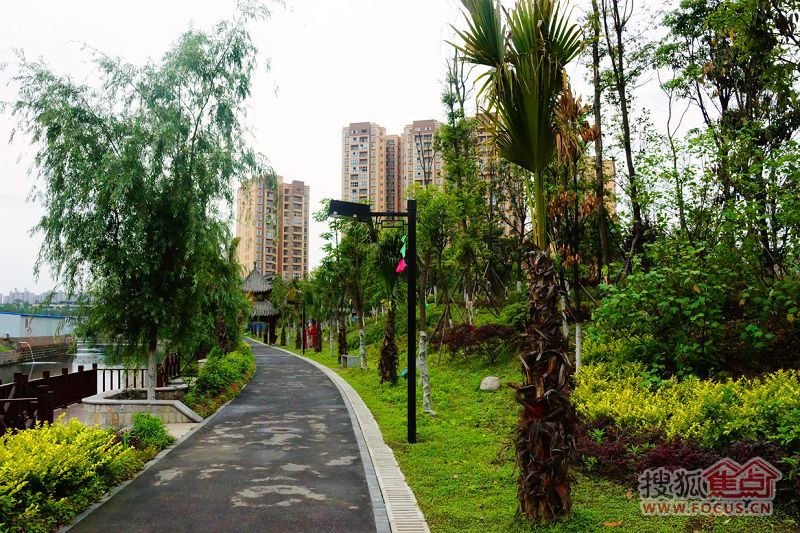 常青藤三期锦红城_小区详情_地址_房价均价_二手房-百度房产