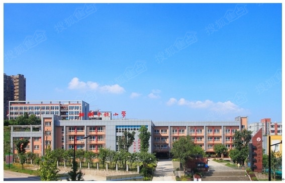 可以进入重庆名校珊瑚中铁小学,开始知识的学习之路;随后茶园新城中学