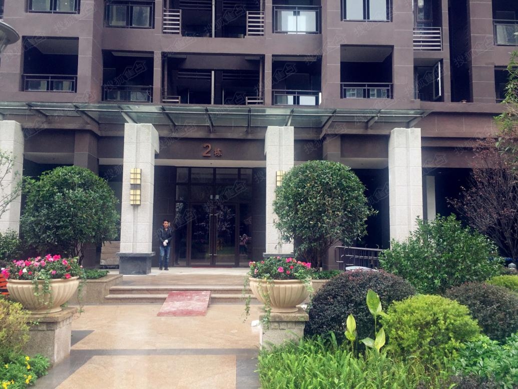 实拍金悦熙城小区内景色