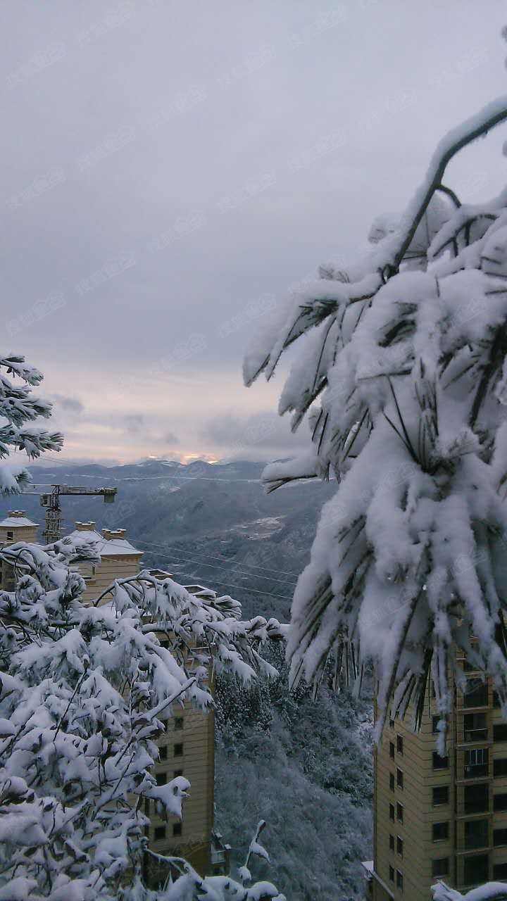 大伙可能过了个假春天!苏马荡下雪了,最美雪景却在这!